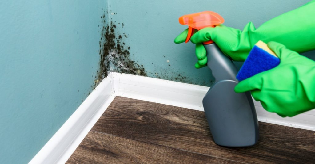 Mold Prevention And Remediation After Water Damage